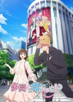 Phim Tamon-kun Ima Docchi!?